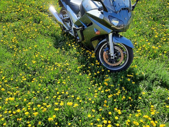 2005 Yamaha FJR1300, зелёный, 460000 рублей