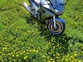 2005 Yamaha FJR1300, зелёный, 460000 рублей