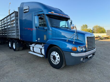 2003 Freightliner Century Class, синий, 2700000 рублей, вид 5