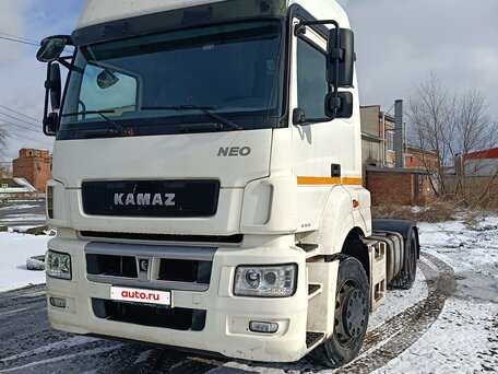 2017 КамАЗ 5490 NEO, белый, 1550000 рублей, вид 4