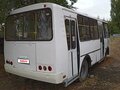 2017 ПАЗ 32053-20, белый, 770000 рублей