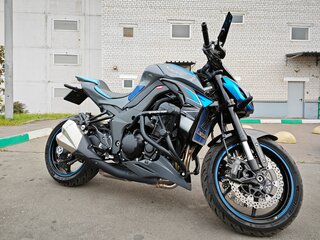 2018 Kawasaki Z 1000, серый, 1350000 рублей, вид 1