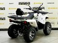 2025 Bison ATV200, чёрный - вид 5