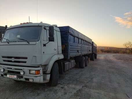 2005 КамАЗ 65117, серый, 2200000 рублей, вид 1