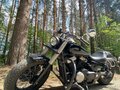 2012 Honda Shadow 750, чёрный, 590000 рублей