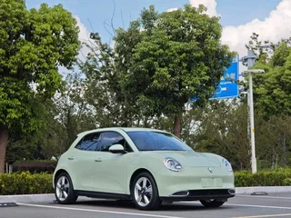 2024 Ora Good Cat 47.8 kWh I, белый, 1685000 рублей, вид 3