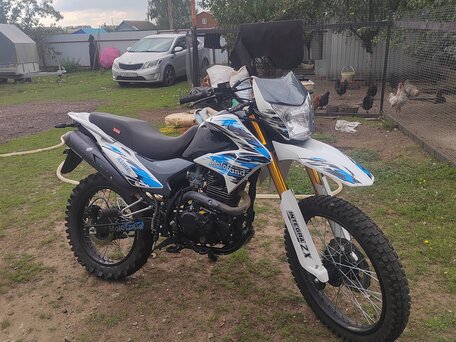 2022 Motoland Enduro 250, белый, 100000 рублей, вид 3