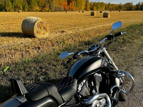 2011 Harley-Davidson V-Rod Muscle, чёрный, 1499000 рублей, вид 1