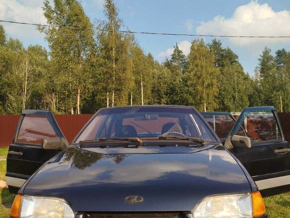2006 Lada (ВАЗ) 2114, серый, 220000 рублей - вид 2