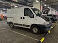 2010 Fiat Professional Ducato, белый, 750000 рублей
