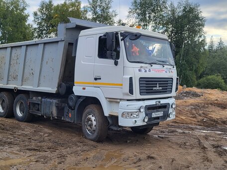 2015 МАЗ 6501, белый, 1900000 рублей, вид 2