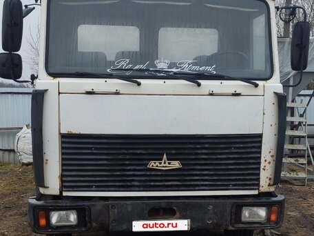 2010 МАЗ 4370, белый, 700000 рублей, вид 1