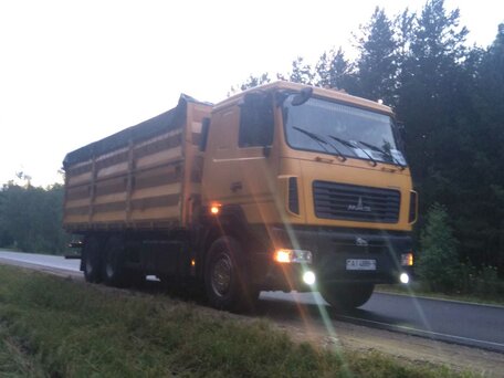 2013 МАЗ 6501, золотистый, 3292704 рублей, вид 1