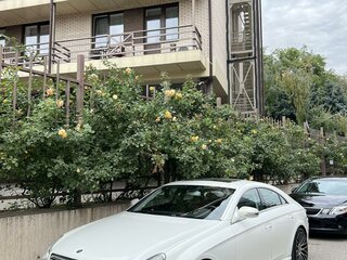 2005 Mercedes-Benz CLS 350 I (C219), белый, 2450000 рублей, вид 3