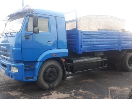 2010 КамАЗ 65117, синий, 2300000 рублей, вид 1