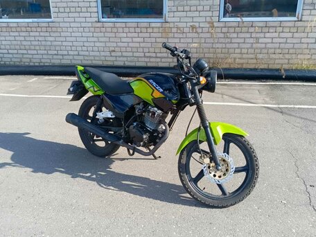 2020 Racer Tiger, зелёный, 59999 рублей, вид 1
