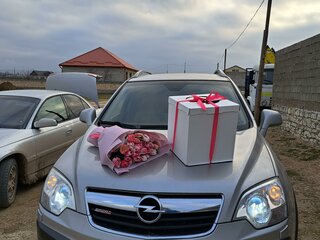 2008 Opel Antara I, серебристый, 990000 рублей, вид 2