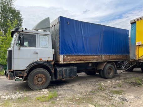 2001 МАЗ 5336, серый, 370000 рублей, вид 2