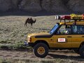 1999 Land Rover Discovery II, жёлтый - вид 2