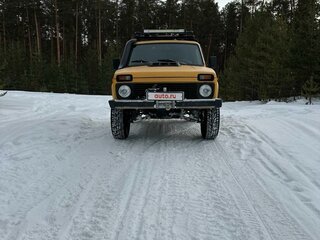 1978 Lada (ВАЗ) 2121 (4x4) I, жёлтый, 500000 рублей, вид 2