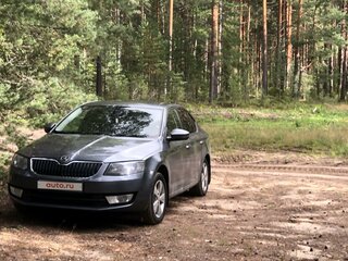 2014 Skoda Octavia III (A7), серый, 1150000 рублей, вид 4