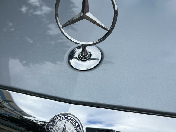 2007 Mercedes-Benz S-Класс 600 Long V (W221), серый - вид 19