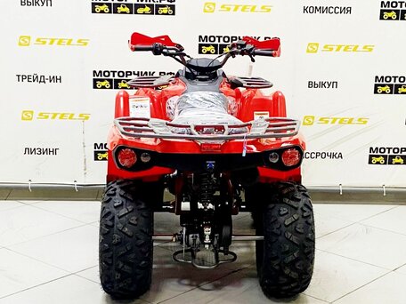 2025 Bison ATV200, красный, 219000 рублей, вид 4