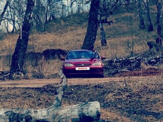 2000 Honda Avancier I, красный, 389999 рублей, вид 1