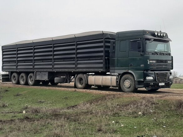 2002 DAF 95XF, зелёный, 2100000 рублей - вид 13