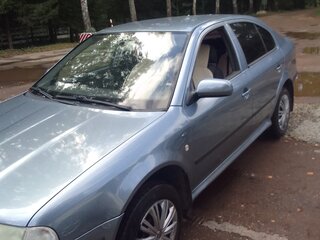 2004 Skoda Octavia I (A4) Рестайлинг, голубой, 330000 рублей, вид 5
