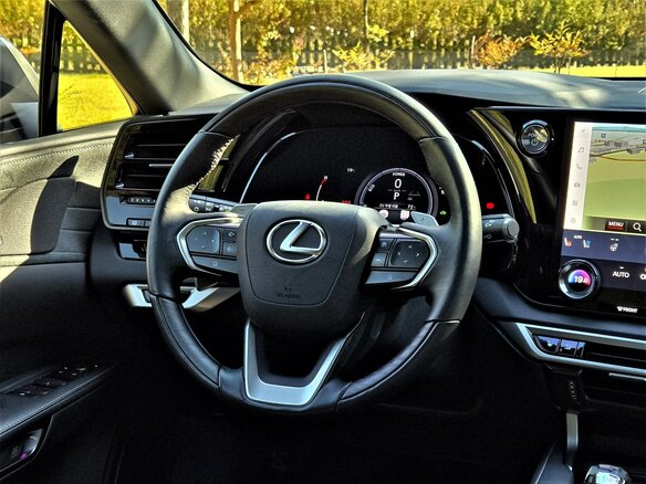 2024 Lexus RX 350h V, серый, 9695002 рублей - вид 21