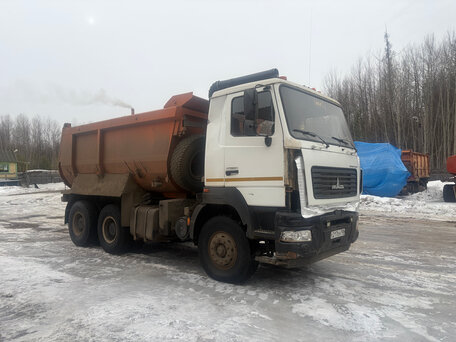 2020 МАЗ 6501, белый, 2300000 рублей, вид 4