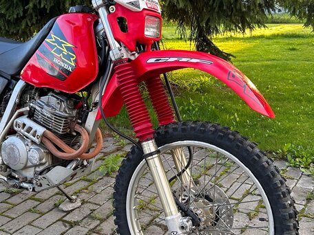 2004 Honda XR 250, красный, 313000 рублей, вид 3