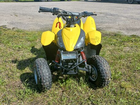 2020 Другие ATV (другие), жёлтый, 50000 рублей, вид 5