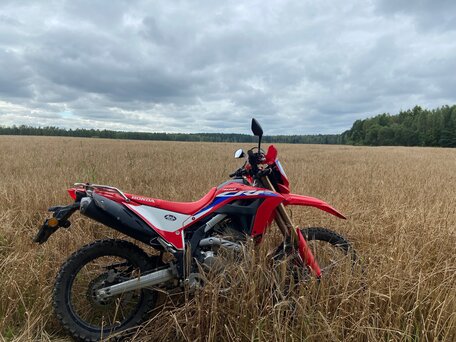 2024 Honda CRF 300L, красный, 670000 рублей, вид 3