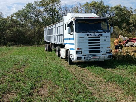 1994 Scania 3-Series, белый, 1800000 рублей, вид 3