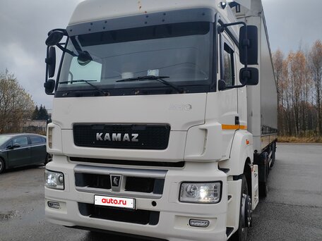 2017 КамАЗ 5490 NEO, белый, 4000000 рублей, вид 2