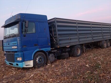 1998 DAF 95XF, синий, 1400000 рублей, вид 5
