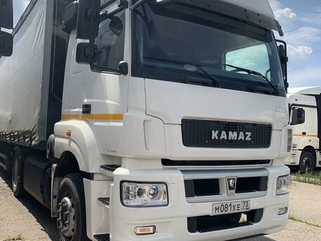 2019 КамАЗ 5490, белый, 4920000 рублей, вид 3