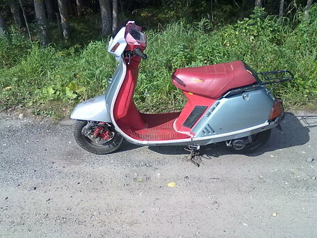 1984 Honda Lead 50, серый, 45000 рублей, вид 4