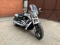 2014 Harley-Davidson V-Rod Muscle, белый - вид 1