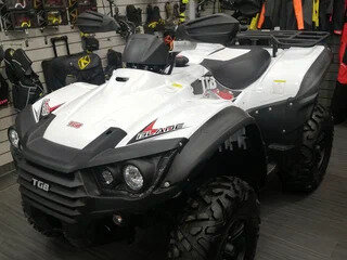 2022 TGB Blade 500, белый, 699000 рублей, вид 1