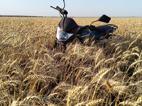 2023 Aprilia AF1 125, пурпурный, 67000 рублей, вид 4