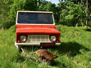 1969 ЛуАЗ 969В, красный, 5157750 рублей, вид 2