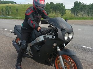 Yamaha FZR1000