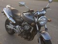 2003 Honda CB 600F Hornet, серебристый, 175000 рублей - вид 7