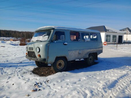 1994 УАЗ 3303, серебристый, 250000 рублей, вид 1