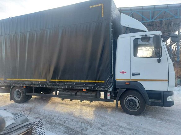 2021 МАЗ 4381, белый, 3600000 рублей - вид 3