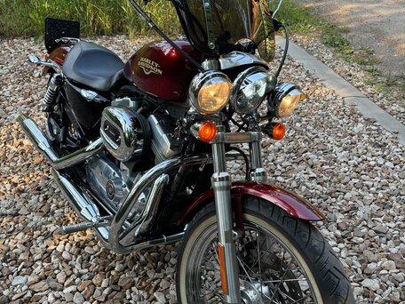 2008 Harley-Davidson Sportster 883, пурпурный, 599000 рублей, вид 1