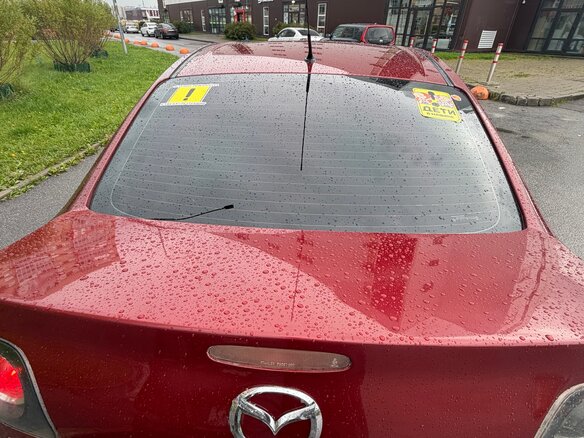 2008 Mazda 3 I (BK) Рестайлинг, красный - вид 34